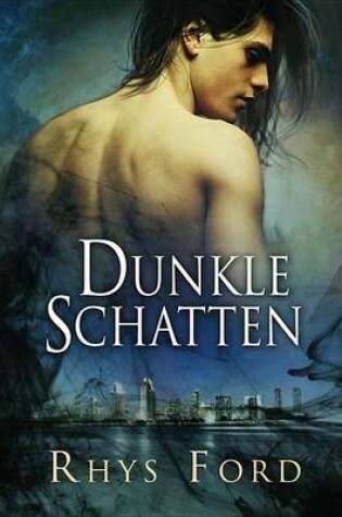 Cover of Dunkle Schatten
