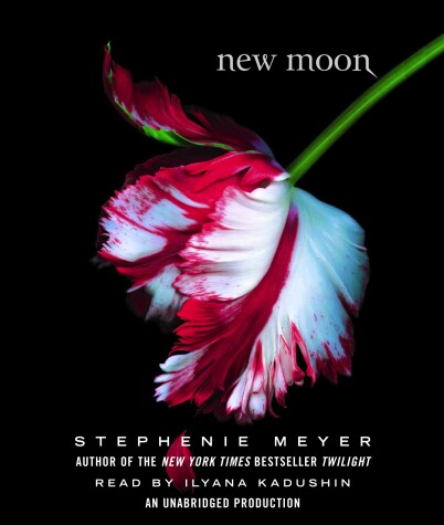 Book cover for New Moon