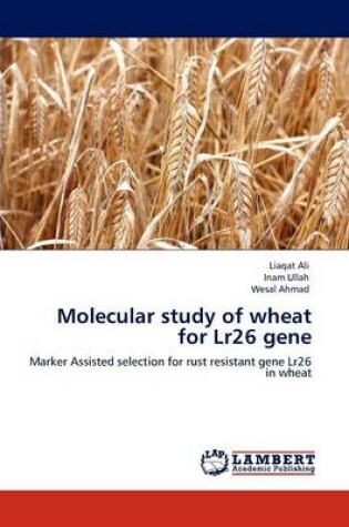 Cover of Molecular Study of Wheat for Lr26 Gene