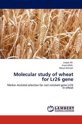 Book cover for Molecular Study of Wheat for Lr26 Gene