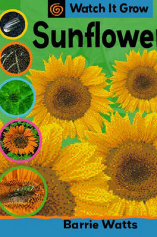 Cover of Sunflower