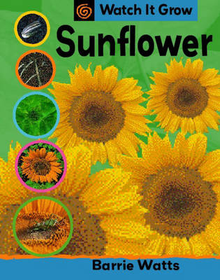 Cover of Sunflower