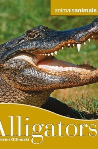 Cover of Alligators