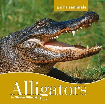 Book cover for Alligators