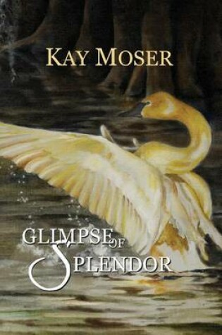 Cover of Glimpse of Splendor