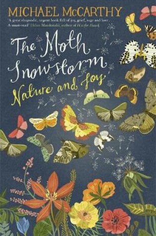 Cover of The Moth Snowstorm