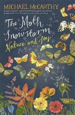 Book cover for The Moth Snowstorm