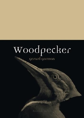 Book cover for Woodpecker