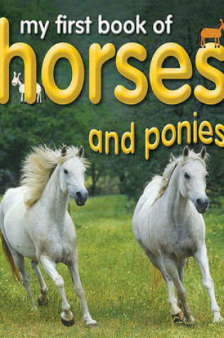 Cover of My First Book of Horses and Ponies