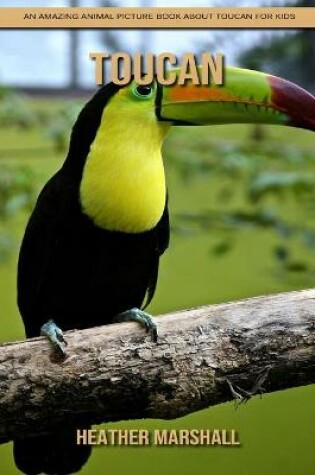 Cover of Toucan