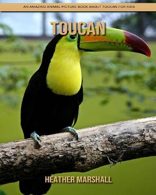 Book cover for Toucan