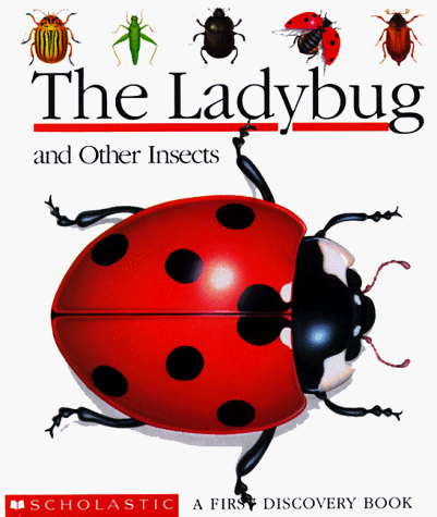 Book cover for The Ladybug and Other Insects