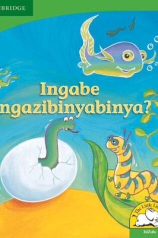 Cover of Ingabe ungazibinyabinya? (IsiZulu)