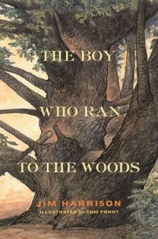 Cover of The Boy Who Ran to the Woods