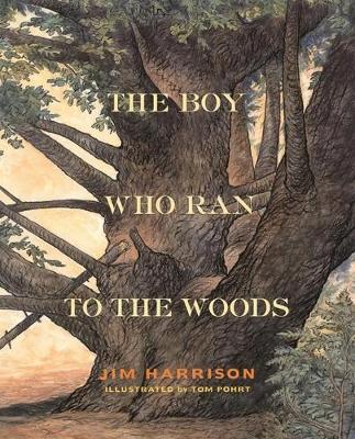 Book cover for The Boy Who Ran to the Woods