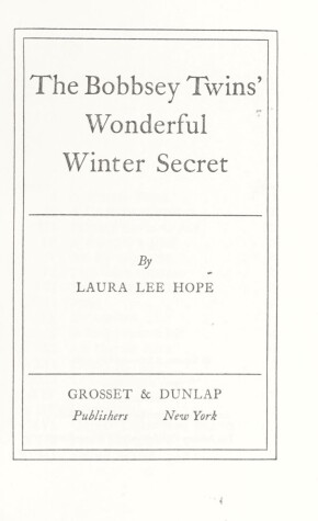 Book cover for Bobbsey Twins 00: Wonderful Winter Secret