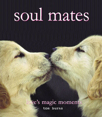 Book cover for Soul Mates