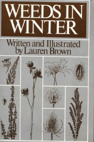 Cover of Weeds in Winter