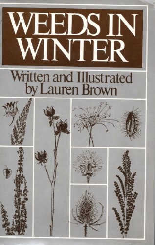 Book cover for Weeds in Winter