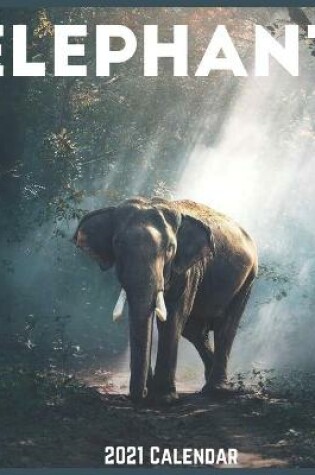 Cover of Elephant 2021 Calendar