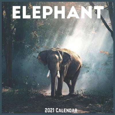 Book cover for Elephant 2021 Calendar
