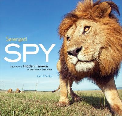 Book cover for Serengeti Spy