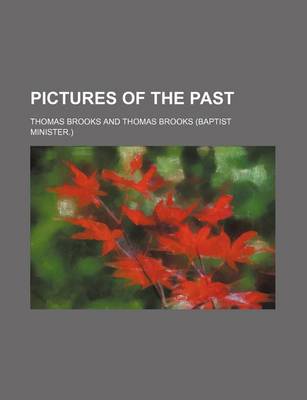 Book cover for Pictures of the Past