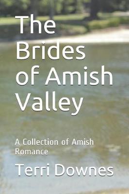 Book cover for The Brides of Amish Valley