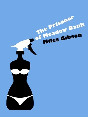 Book cover for The Prisoner of Meadow Bank