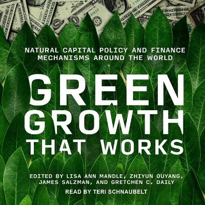 Book cover for Green Growth That Works