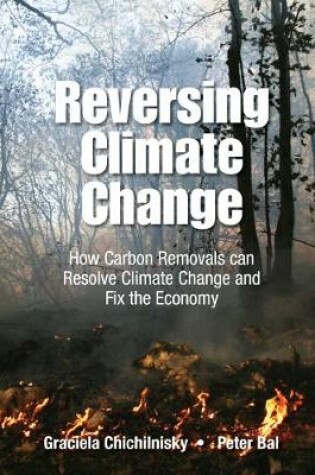 Cover of Reversing Climate Change: How Carbon Removals Can Resolve Climate Change And Fix The Economy