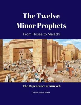 Cover of The Twelve Minor Prophets