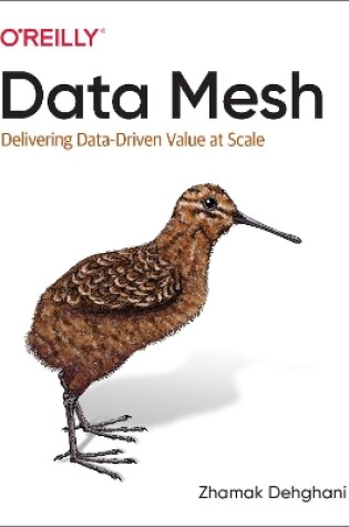 Cover of Data Mesh