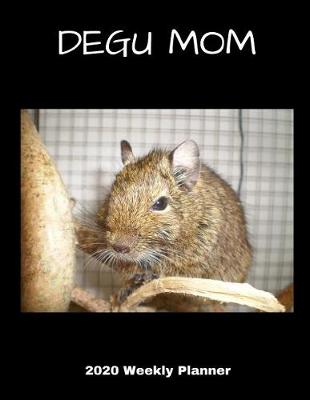 Book cover for Degu Mom 2020 Weekly Planner