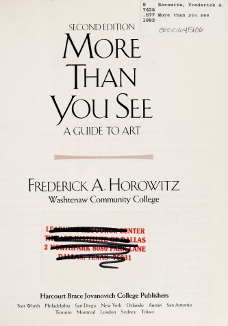 Book cover for More Than You See