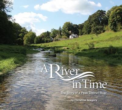 Book cover for A River in Time