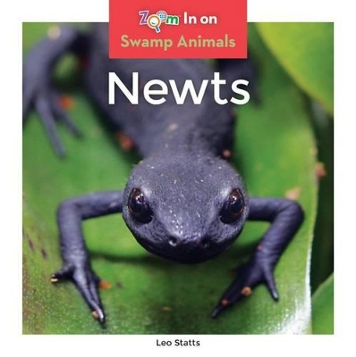 Book cover for Newts