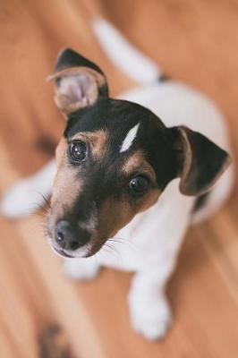 Book cover for Jack Russell Love