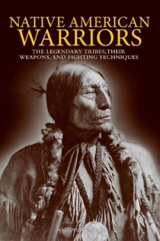 Cover of Native American Warriors