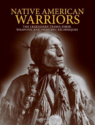 Book cover for Native American Warriors