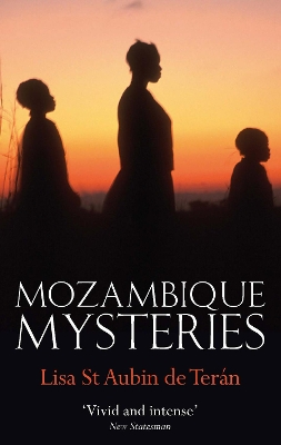 Book cover for Mozambique Mysteries