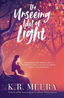 Book cover for The Unseeing Idol of Light