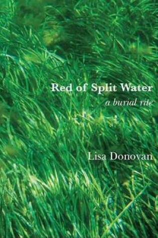 Cover of Red of Split Water