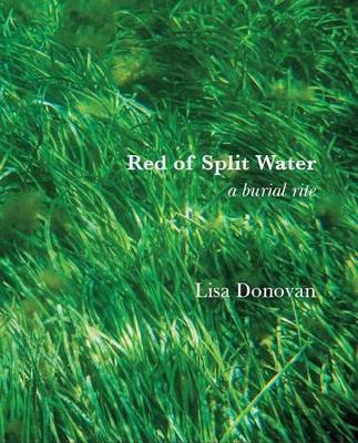 Book cover for Red of Split Water