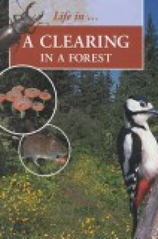 Cover of A Clearing in the Forest