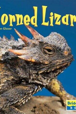 Cover of Horned Lizards