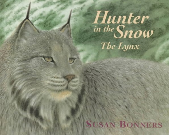 Book cover for Hunter in the Snow