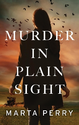 Cover of Murder In Plain Sight