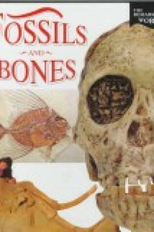 Cover of Fossils and Bones Hb