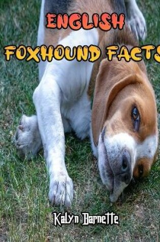 Cover of English Foxhound Facts